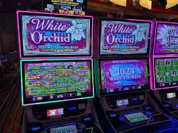 f15 Live Casino